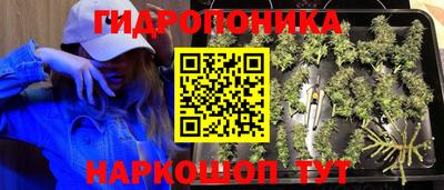 наркотики Усть-Джегута